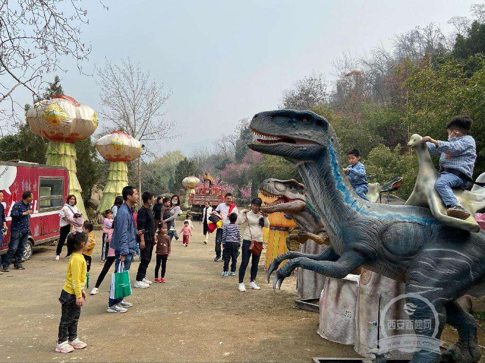 中国伴游带你打卡网红南山竹海(南山竹海网上预约)